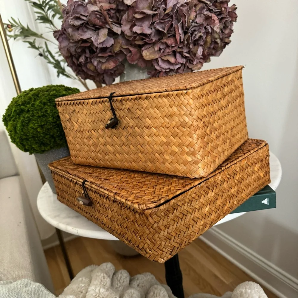 Set of 2 Flat Seagrass Storage Bins with Lid Woven Basket Home Office Organizer